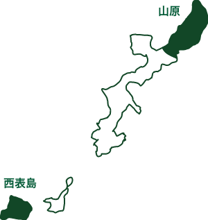 登錄至世界自然遺產永續傳承